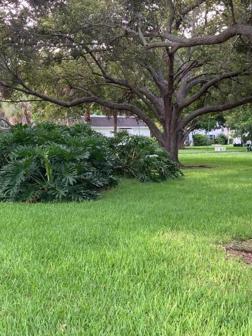 All Season Paradise In Cortez Bradenton Exterior photo