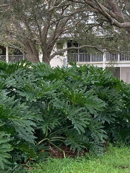All Season Paradise In Cortez Bradenton Exterior photo