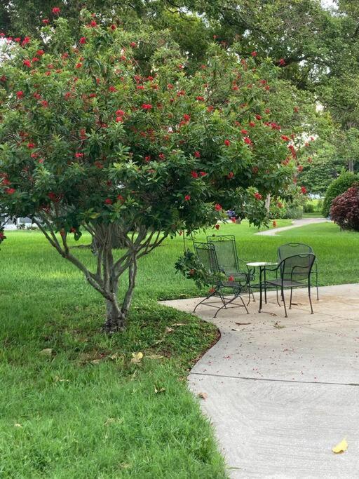 All Season Paradise In Cortez Bradenton Exterior photo